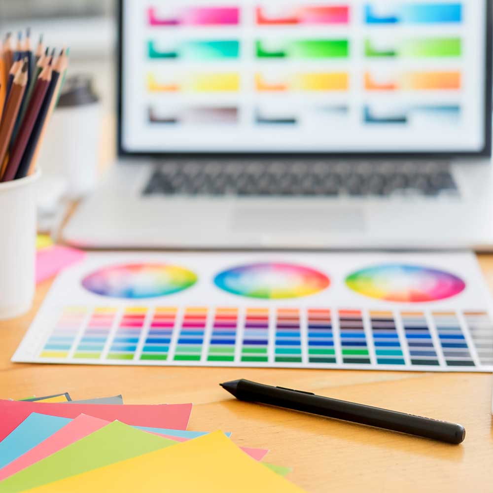 paleta-de-coles-web paleta de coles web Inicio